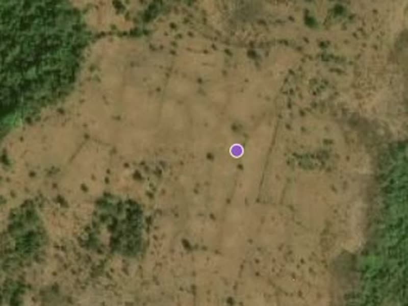 Satellite view of the analyzed plot
